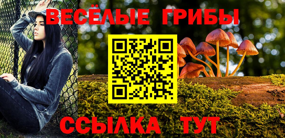 Псилоцибиновые грибы мицелий  Вход с VPN  Галлюциногенные грибы прущие грибы  Димитровград 