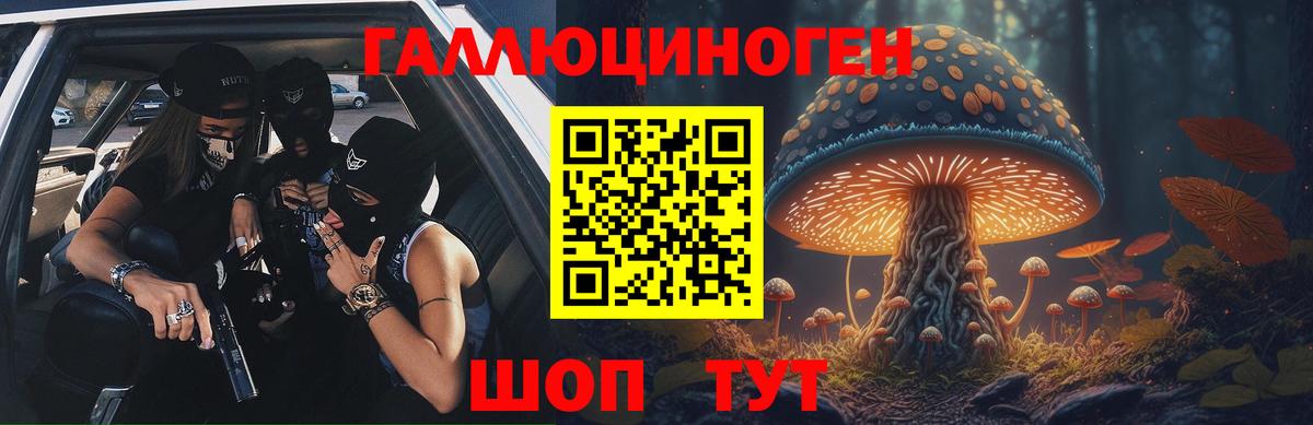Псилоцибиновые грибы Cubensis Димитровград